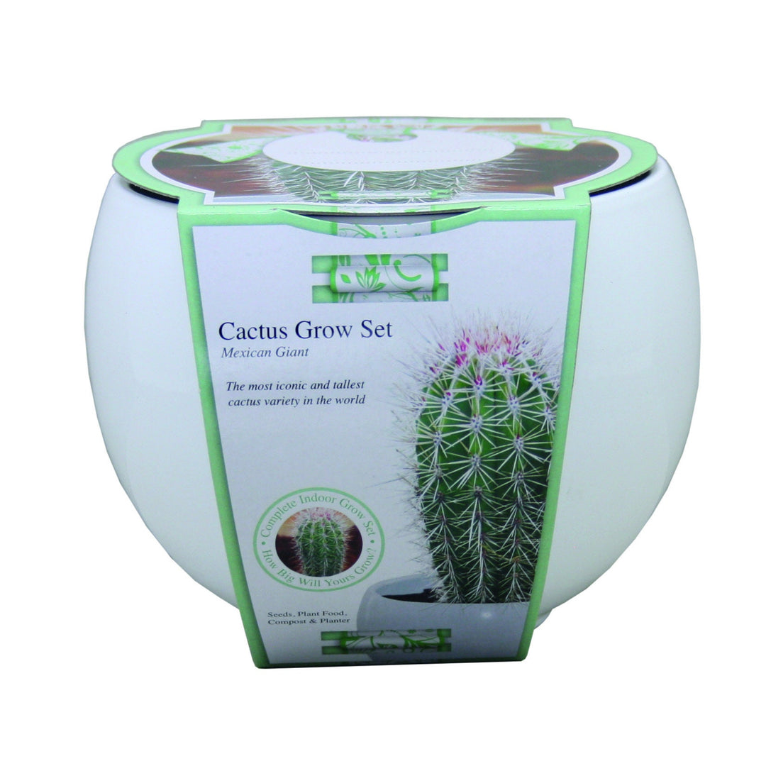 Mexican Giant Cactus Grow Set