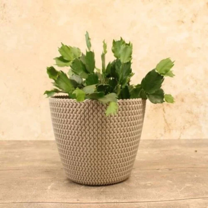 Three knitted fabric flowerpots in mocha, white, and black colors, displayed on a wooden surface with a textured background.
