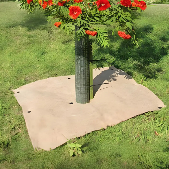 A square tan tree mulch guard protecting a tree trunk from damage 