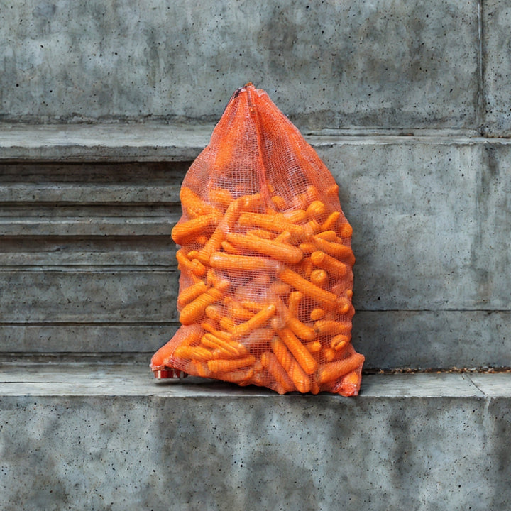 orange vegetable carrot sack sat on a wll