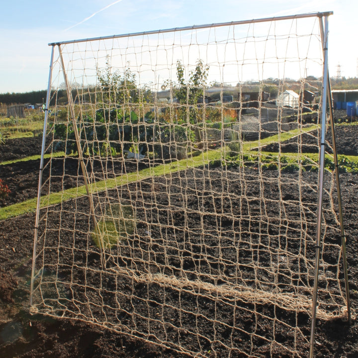 pea-and-bean-frame-with-jute-netting