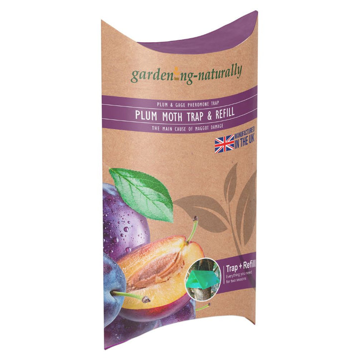 plum moth trap and refill box