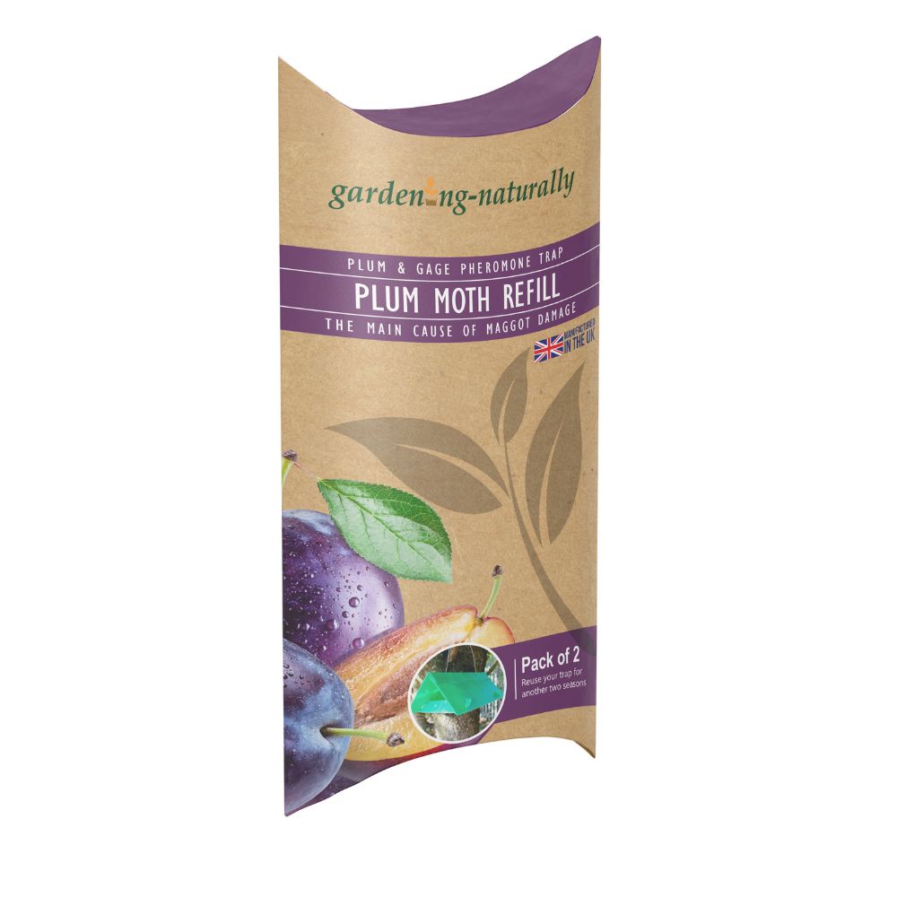 plum moth refill for plum moth trap