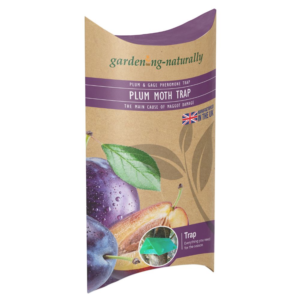 plum moth trap packaging on white background