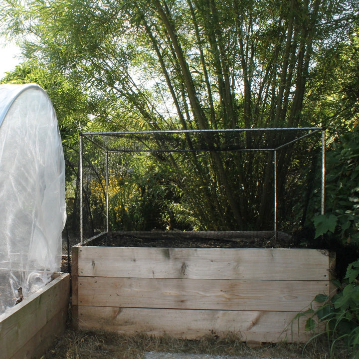 Low Cages with Black Bird Netting