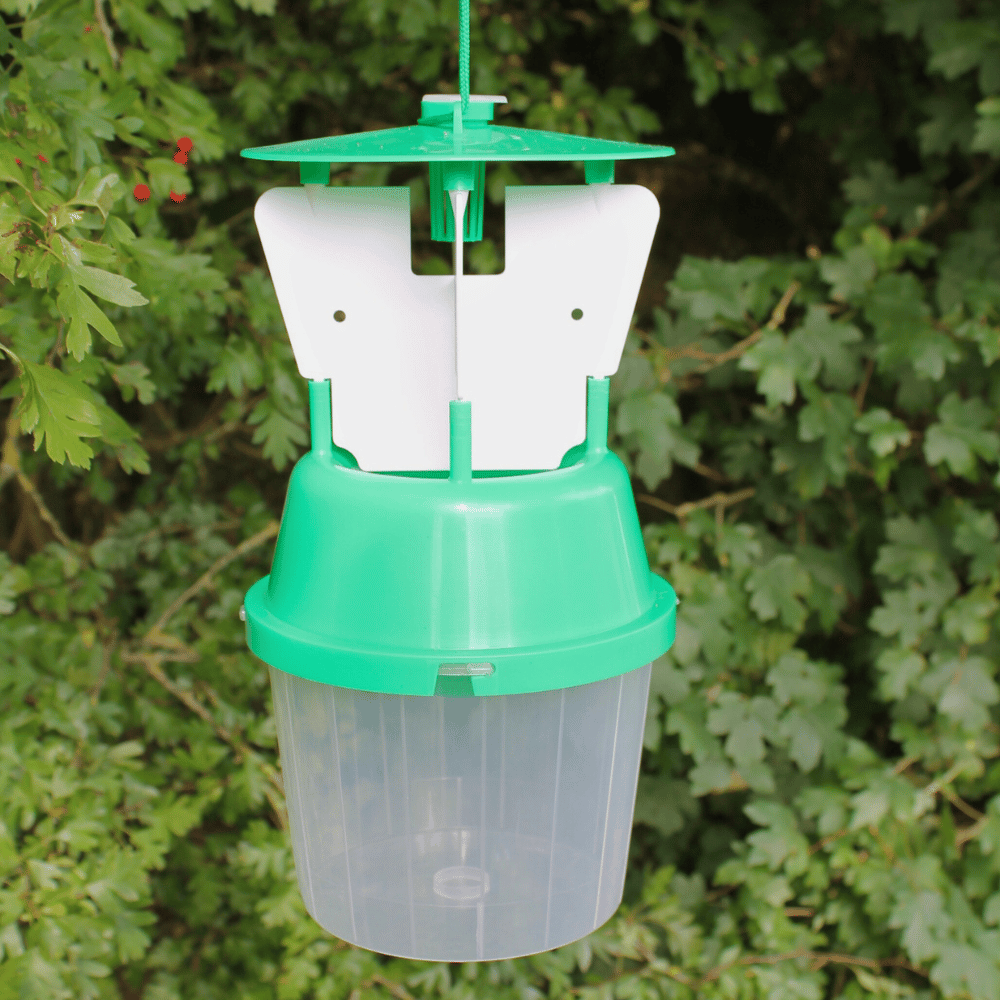 Raspberry Beetle Trap and Refill Kit