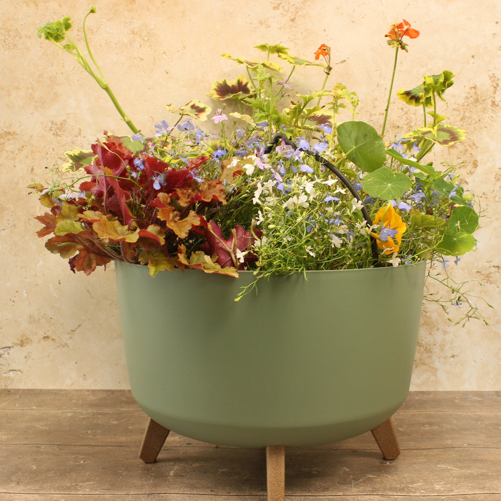 A round green plant pot full of flowers stood on a wooden floor