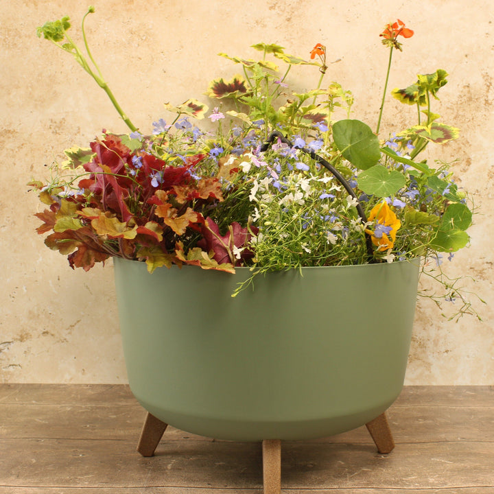 A round green plant pot full of flowers stood on a wooden floor