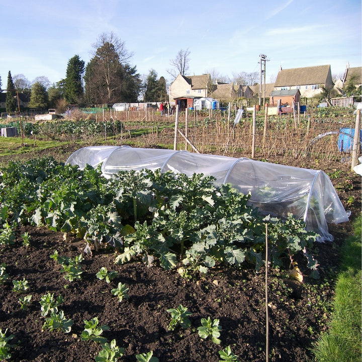 round-hoop-tunnel-over-vegetables