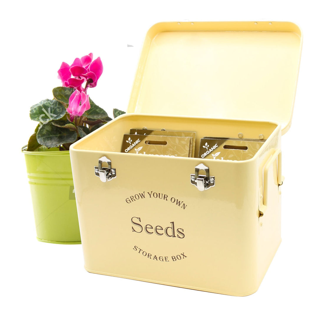 Seed storage tin, cream shown with lid open and seeds inside and plant next to it