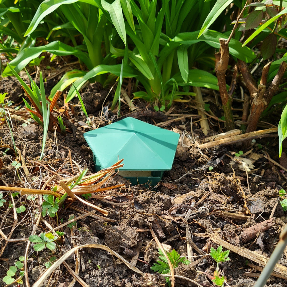 Green pest control device on a garden bed with plants and soil.