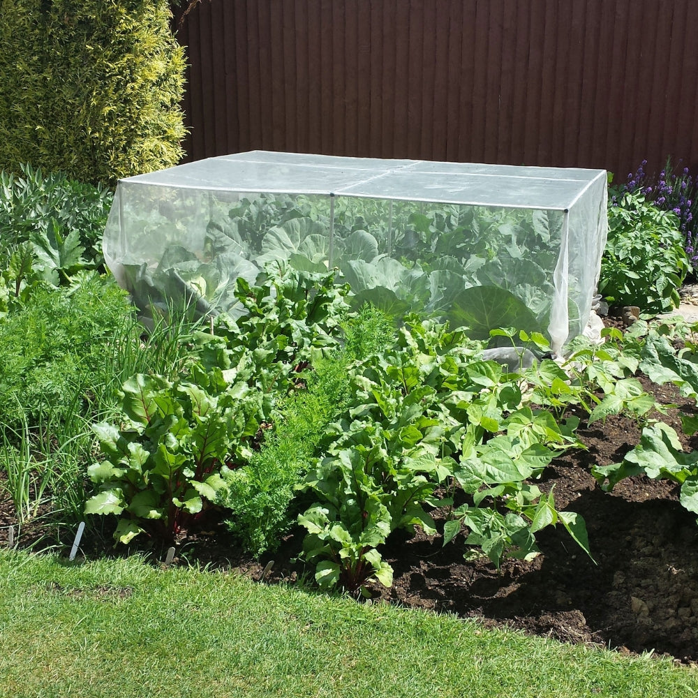 A low fruit and vegetable cage without netting, placed in a garden bed. 
