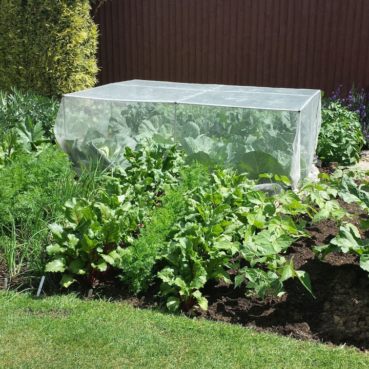 A low fruit and vegetable cage without netting, placed in a garden bed. 