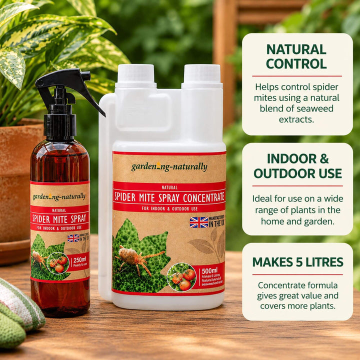 Spider Mite Spray for Indoor & Outdoor Plants | Natural Control