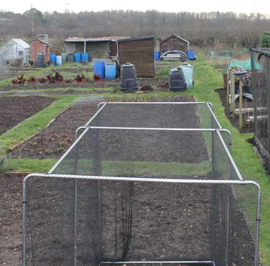 Vegetable garden with raised beds and small wooden sheds in the background