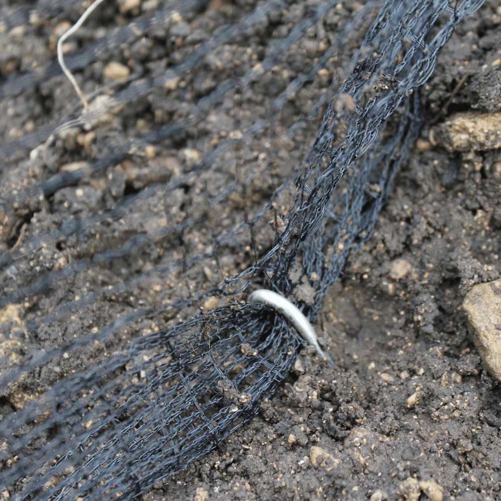 steel peg holding down garden-netting