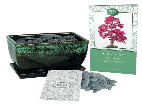 Bonsai kit showing all components and box on blank background