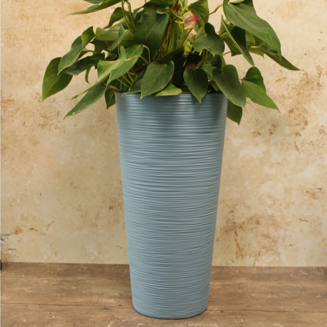 Tall blue plant pot with a plant on a wooden floor