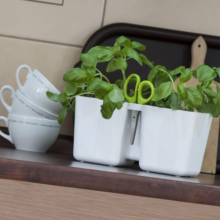 Windowsill Twin Herb Pot with 6 Blade Scissors