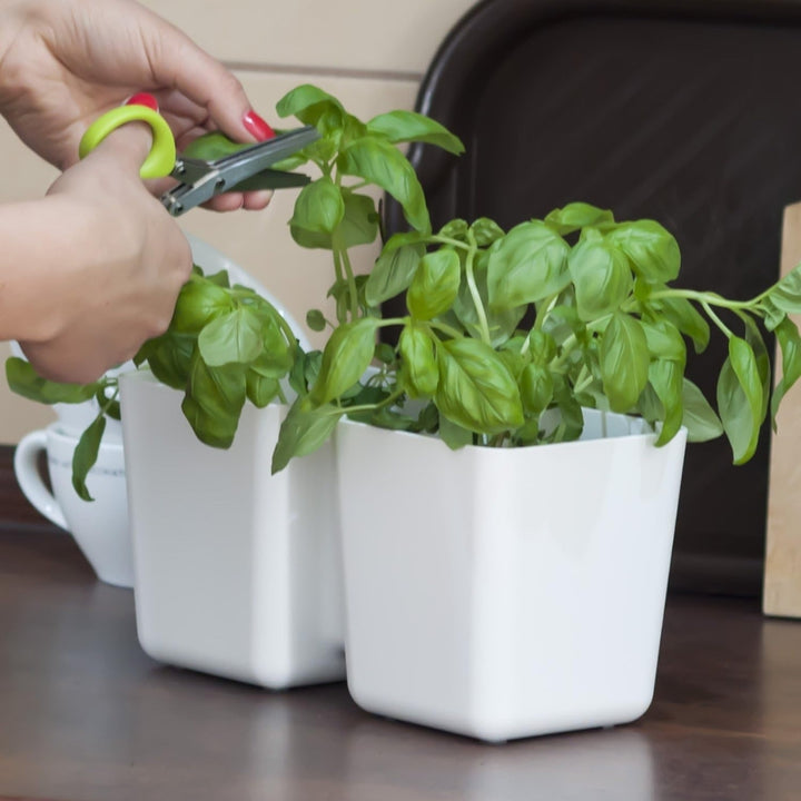 Windowsill Twin Herb Pot with 6 Blade Scissors