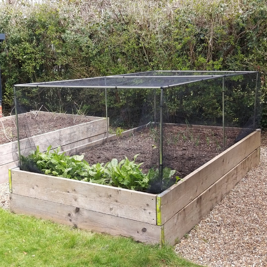Low Fruit and Vegetable Cages with Netting Pegs and Clips – Garden Netting