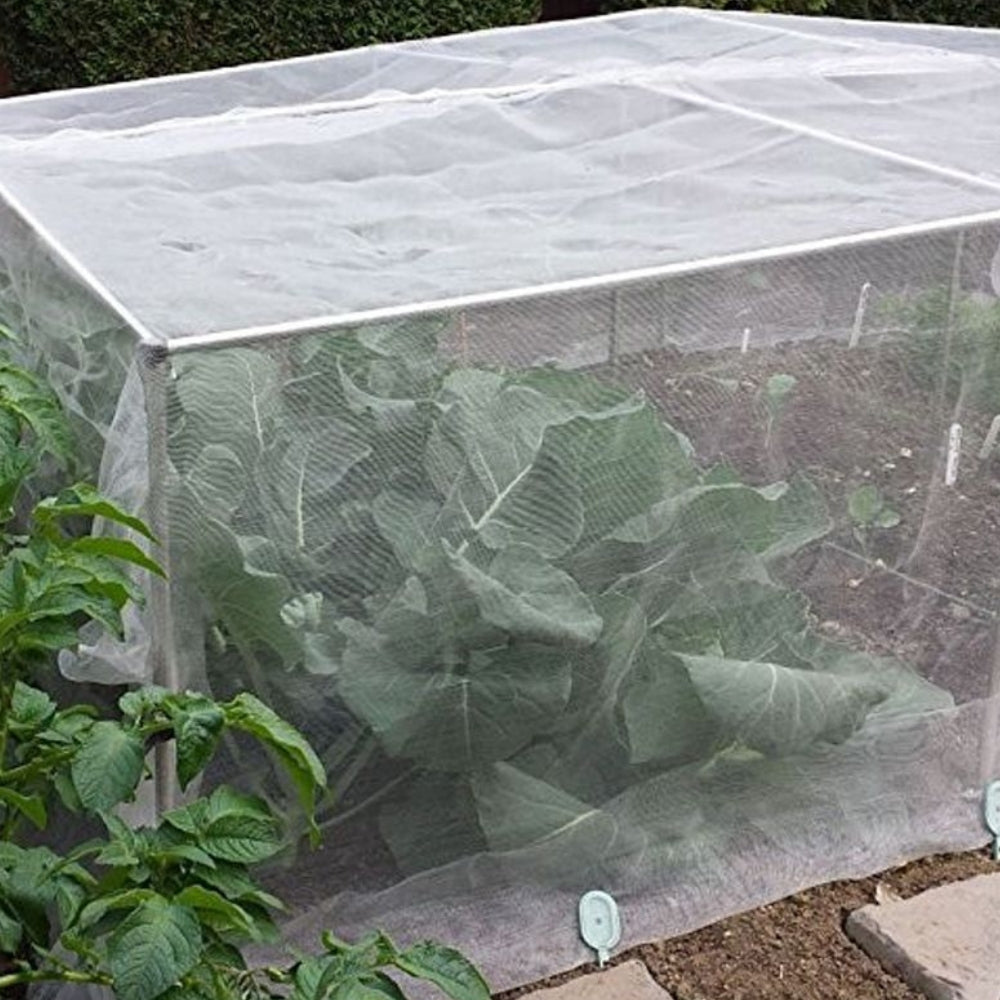 Veggiemesh insect netting cage with cabbages in it