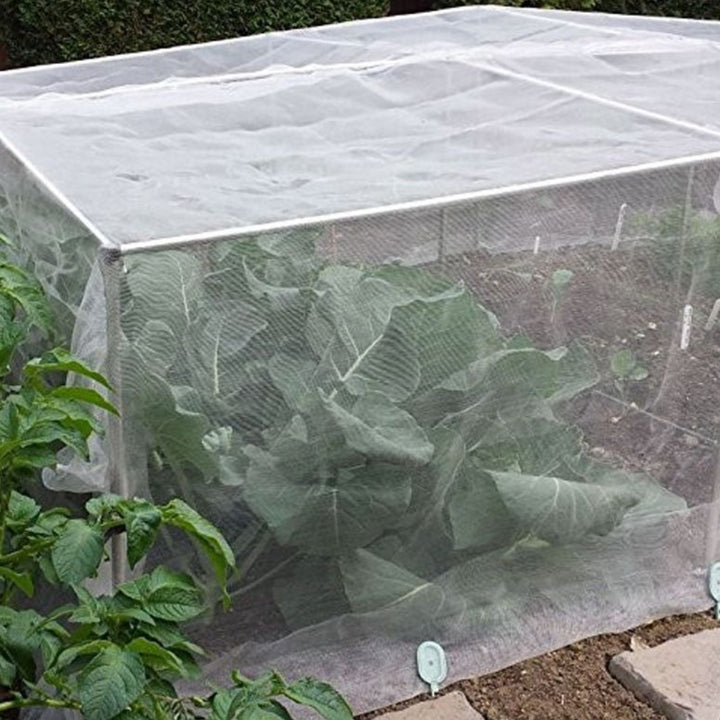 Veggiemesh insect netting cage with cabbages in it