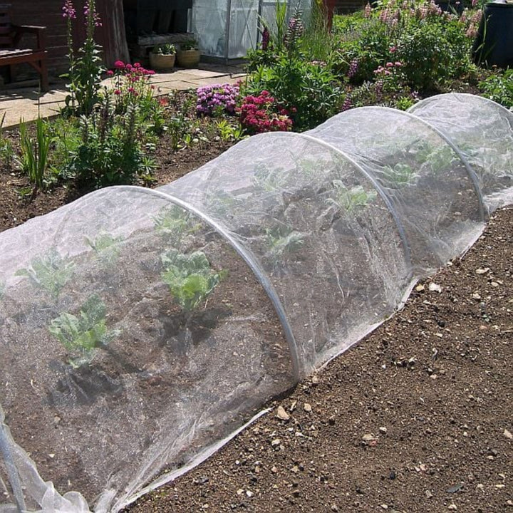 Aluminium hoops with insect mesh over cabbages.