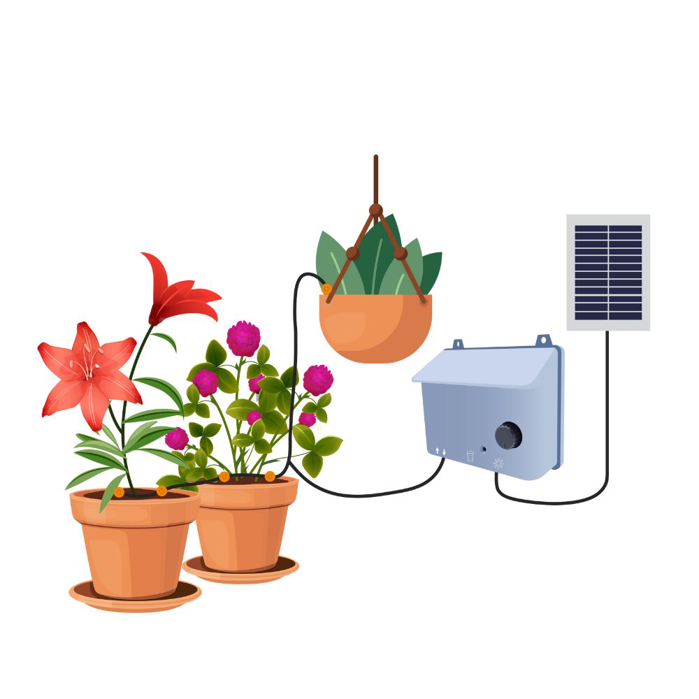 Solar-powered plant watering system with potted plants on a white background