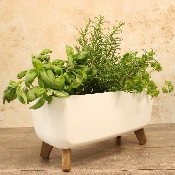A white, concrete trough-style plant pot with wooden legs.