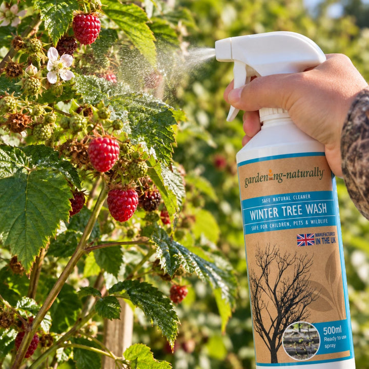 Winter Tree Wash Stop Overwintering Pests 500ml