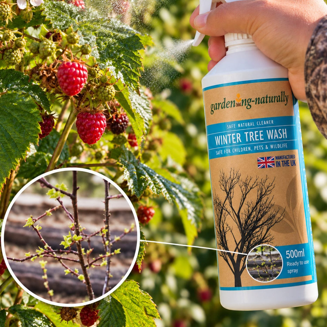 Winter Tree Wash Stop Overwintering Pests 500ml