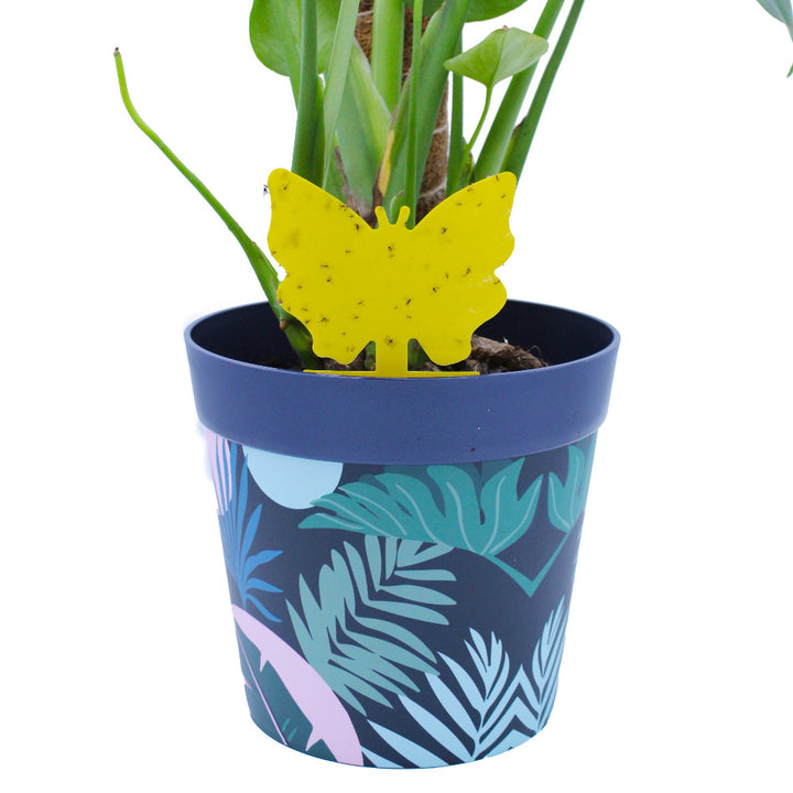 Potted plant with a blue pot featuring tropical leaf patterns and a yellow butterfly-shaped object.